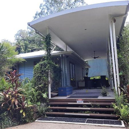Daintree Rainforest Accommodation Cow Bay Buitenkant foto