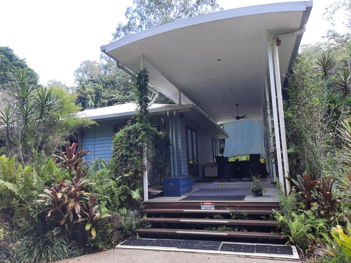 Daintree Rainforest Accommodation Cow Bay Buitenkant foto