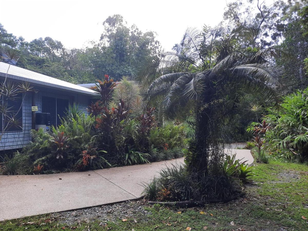 Daintree Rainforest Accommodation Cow Bay Buitenkant foto