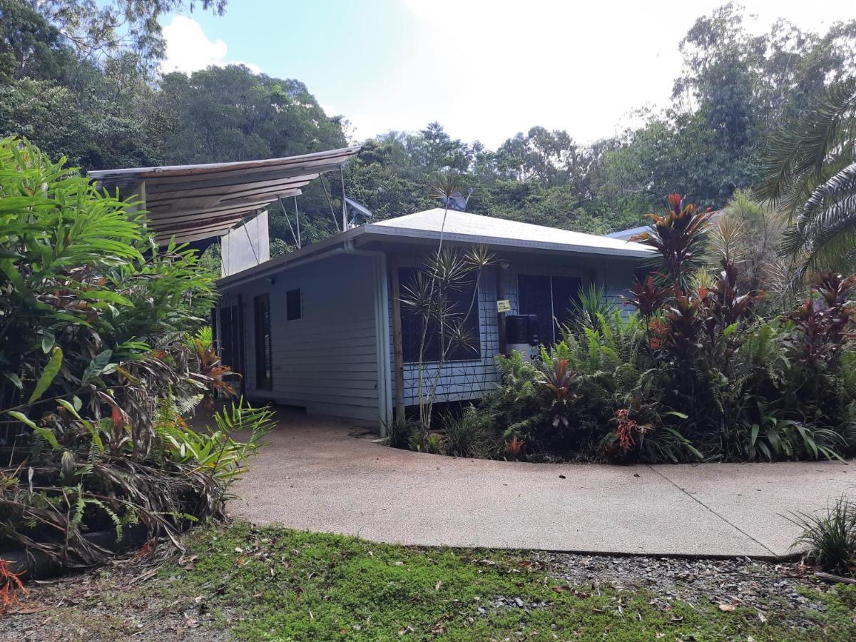 Daintree Rainforest Accommodation Cow Bay Buitenkant foto