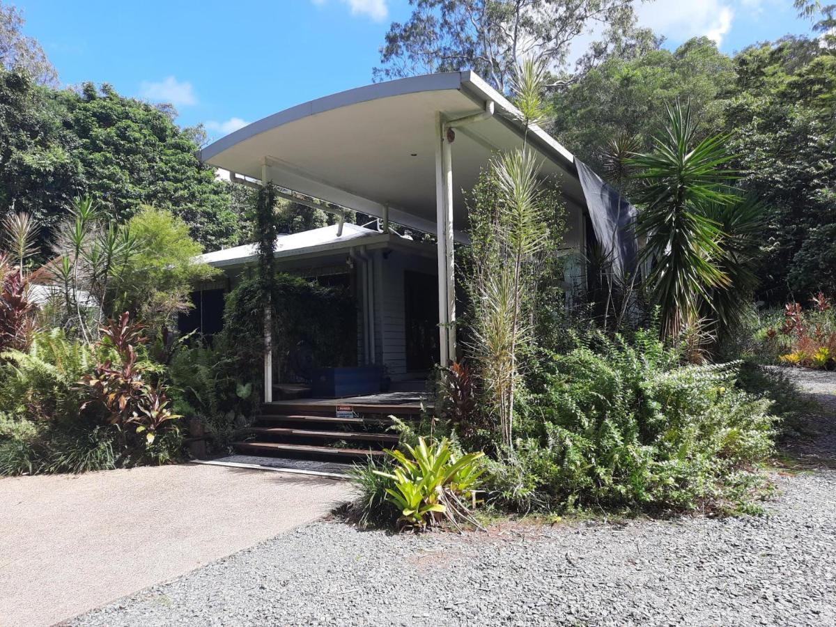 Daintree Rainforest Accommodation Cow Bay Buitenkant foto